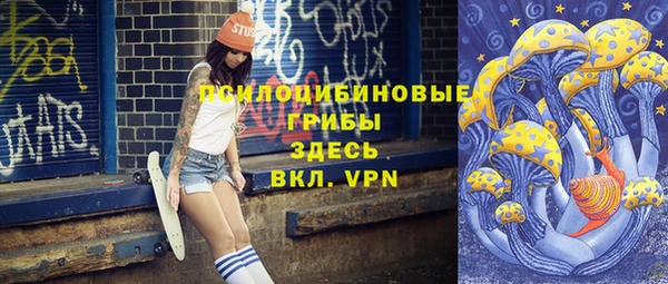 винт Армянск