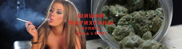 спиды Арсеньев