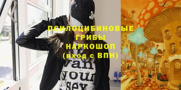 спиды Арсеньев